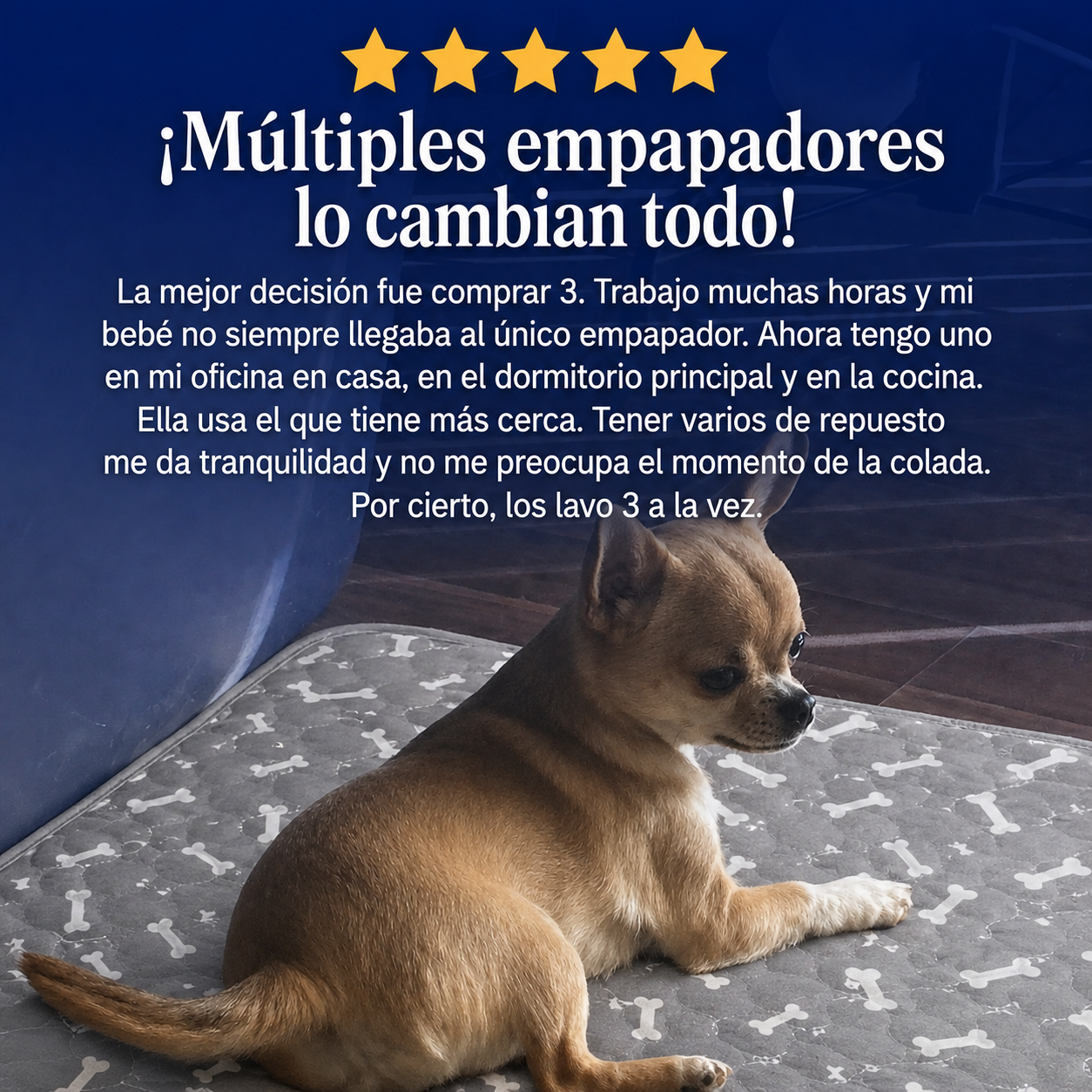 Empapador Antifugas para Perros