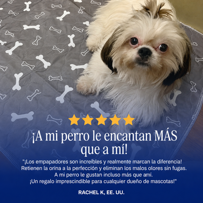 Empapador Antifugas para Perros