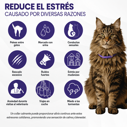 Collar Antiestrés para Perros y Gatos