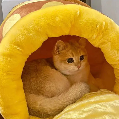 Gatito asomando dentro del Tarro de Miel amarillo
