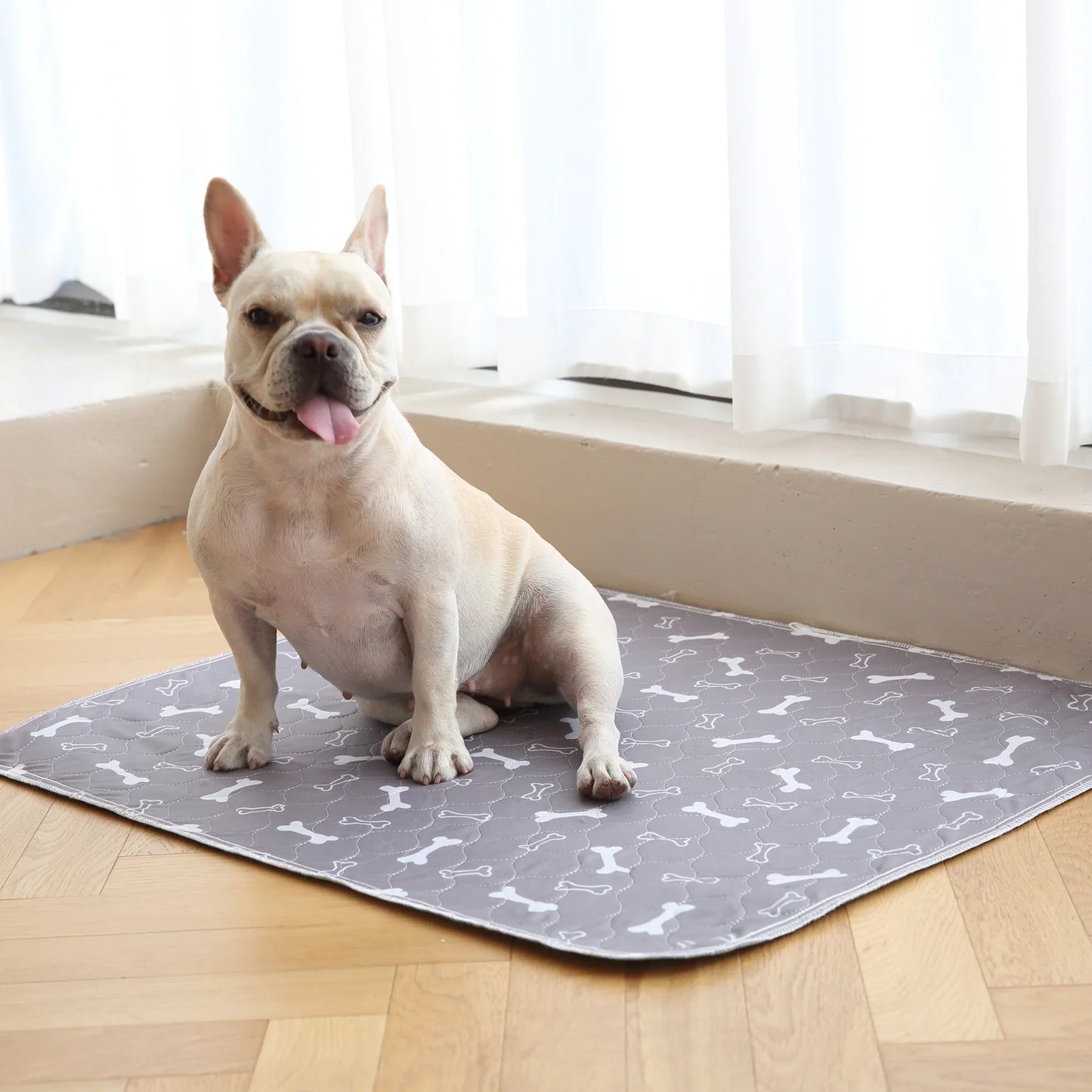 Empapador Antifugas para Perros