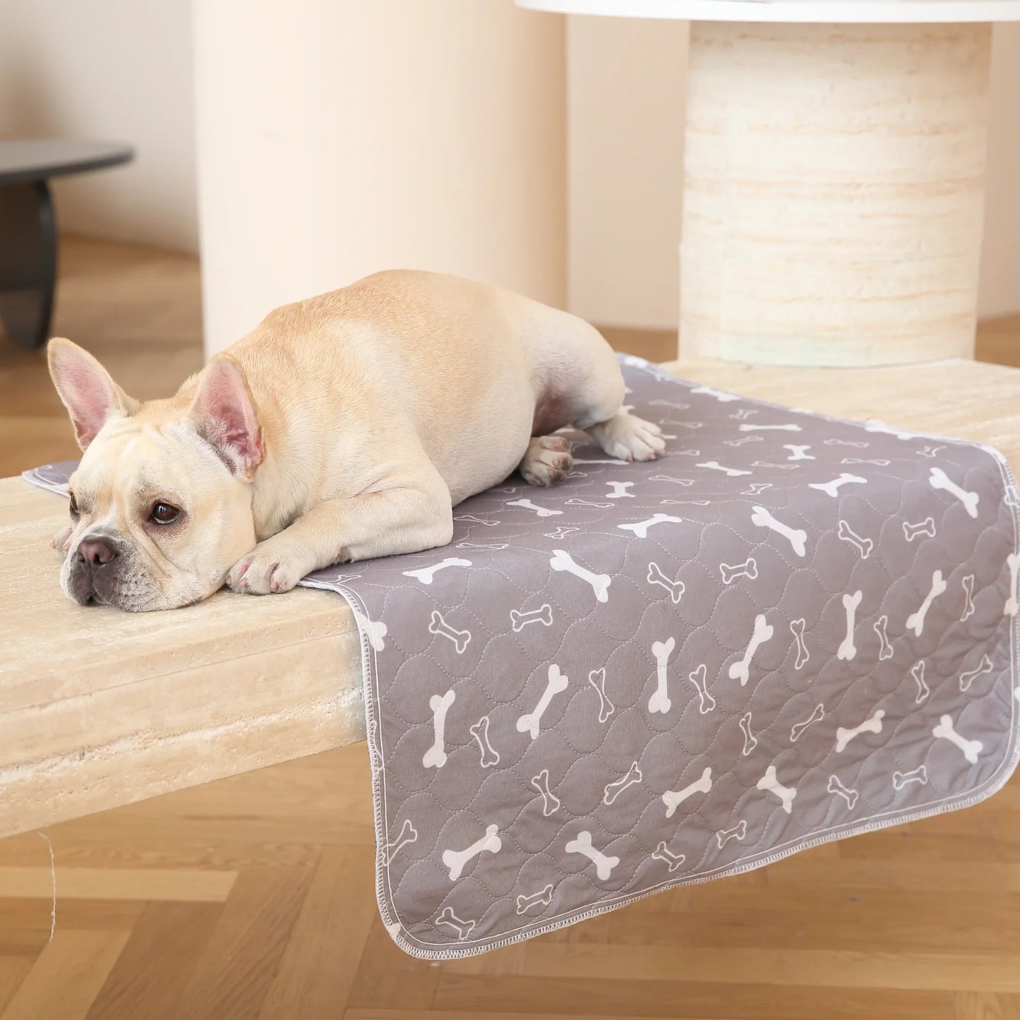 Empapador Antifugas para Perros
