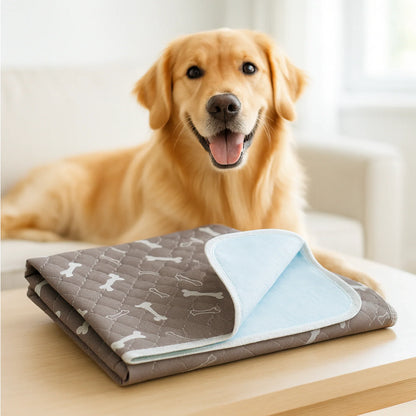 Empapador Antifugas para Perros